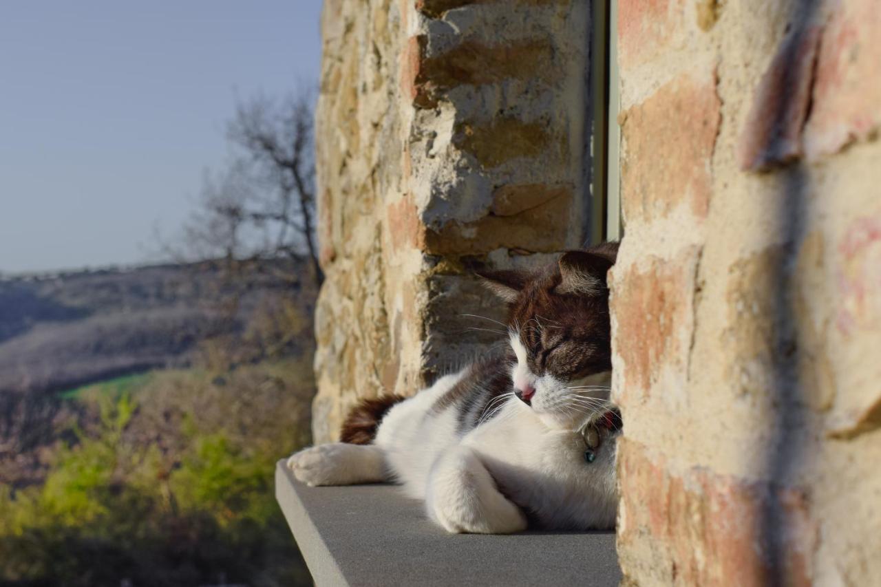 Podere Paradiso Villa Magione Buitenkant foto