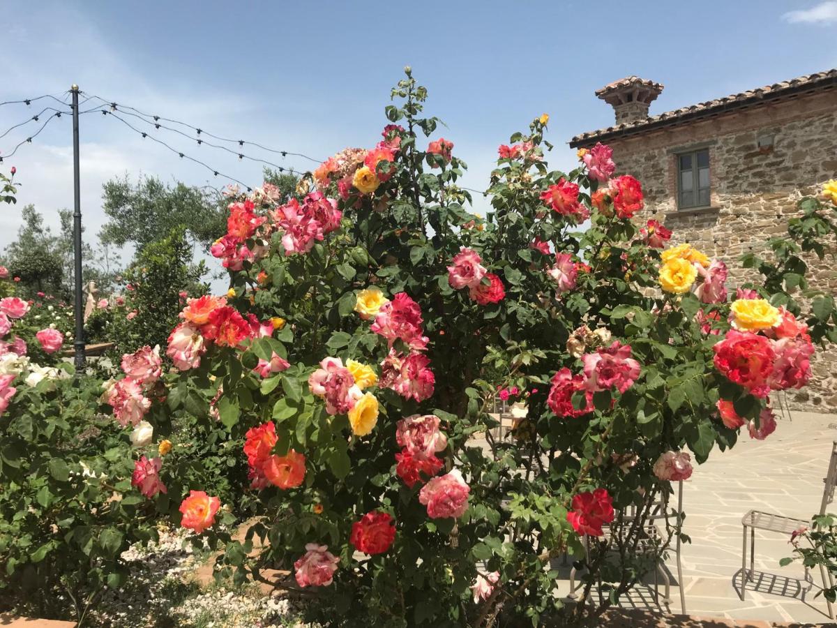 Podere Paradiso Villa Magione Buitenkant foto