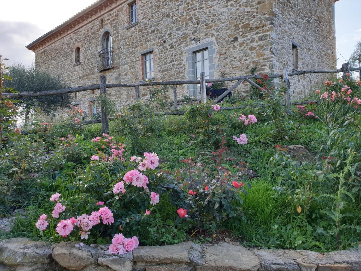 Podere Paradiso Villa Magione Buitenkant foto